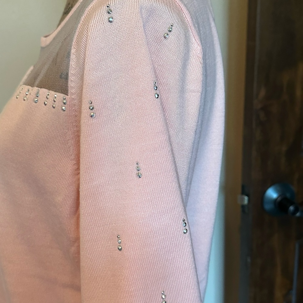 LAST ONE! Lovely short sleeved sweater-New with tag! - Picture 3 of 4